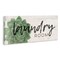 Stupell Industries Laundry Room Green Succulent Canvas Wall Art